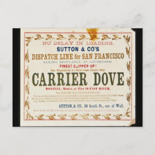 Postal Carrier Dove Clipper Sailing