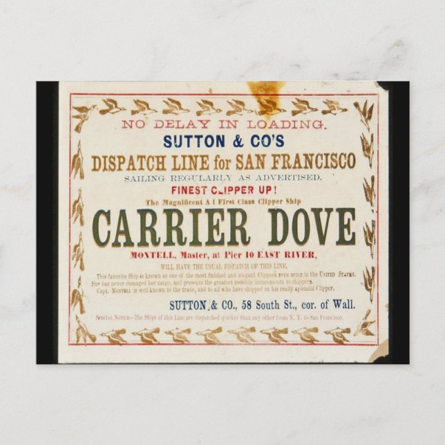 Postal Carrier Dove Clipper Sailing (Anverso)