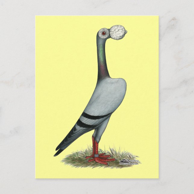 Postal Carrier Pigeon 2012 (Anverso)