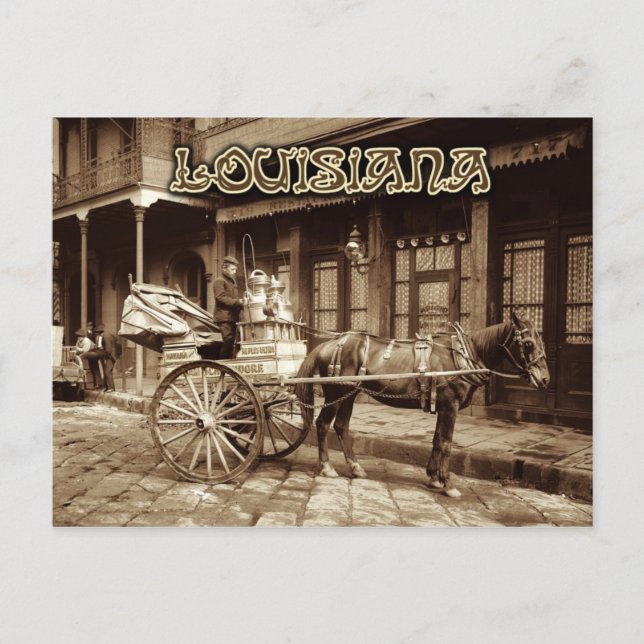 Postal Carrito de leche extraída de caballos, Nueva Orlea (Anverso)