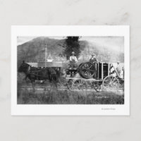 Carro de caballo dibujado