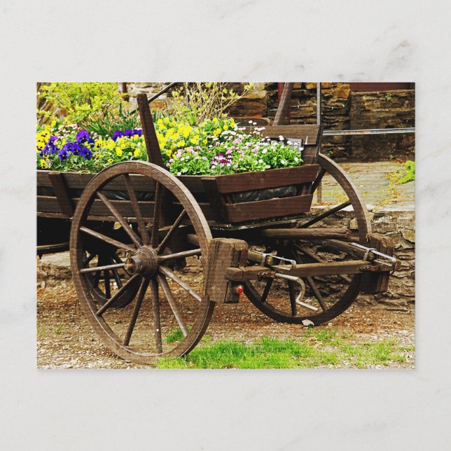 Postal Carro de flores (Anverso)