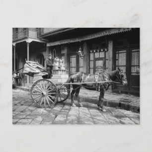Postal Carro de la leche de Nueva Orleans: 1903