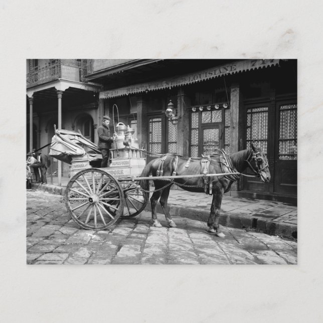 Postal Carro de la leche de Nueva Orleans: 1903 (Anverso)