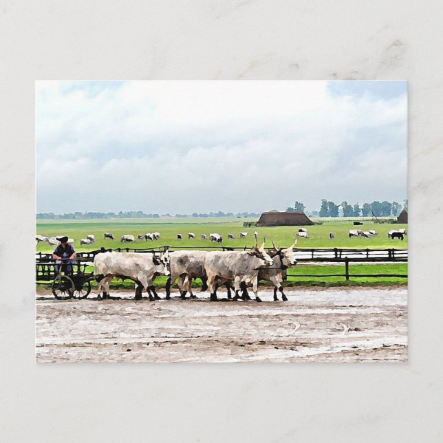 Postal Carro dibujado por las batallas grises húngaras (Anverso)