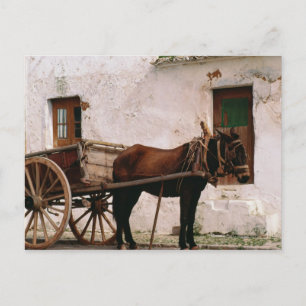Postal Carro traído por caballo pasado de moda