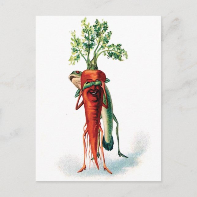 Postal Carrot and Frog Funny Valentine (Anverso)