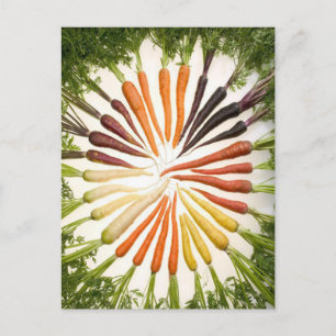 Postal Carrots Colorful Garden Pattern