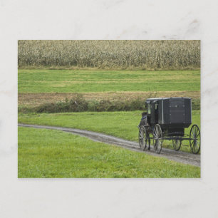 Postal Carruaje Amish en camino de granja, Ohio Nororient