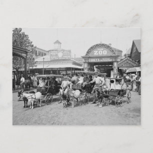 Postal Carruajes de cabra en Coney Island, 1910