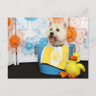 Postal Carson - West Highland Terrier - 6