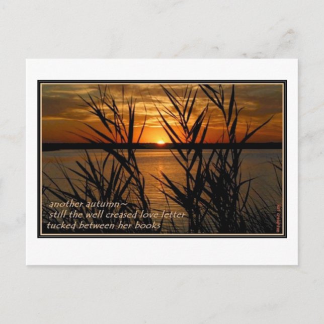 Postal Carta de amor bien creada (Anverso)