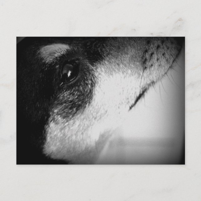 Postal Cartão Postal: Thor (Anverso)