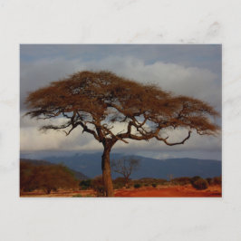 Postal Cartas de agradecimiento a la novia romántica de S