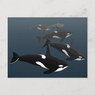 Postal Cartas de arte de ballena de orca Personalizado de