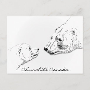 Postal Cartas de arte de oso polar de Churchill Canada po