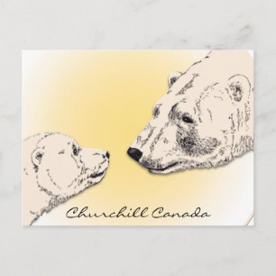 Postal Cartas de arte de oso polar de Churchill Canada po