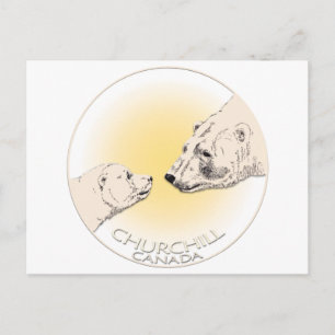 Postal Cartas de arte de oso polar de Churchill Canada po