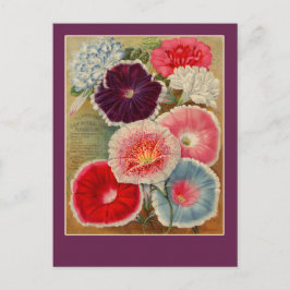 Postal Cartas de arte de paquetes de semillas de Glorias 