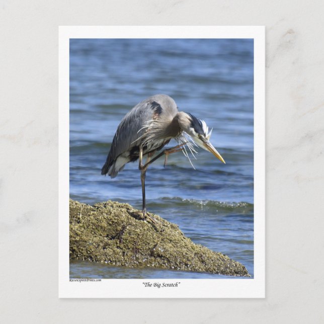 Postal Cartas de correos de "The Big Scratch" (Anverso)