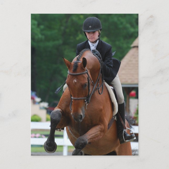 Postal Cartas de Hunter Horse Show (Anverso)