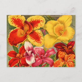 Postal Cartas de paquetes de semillas de época, repostaje