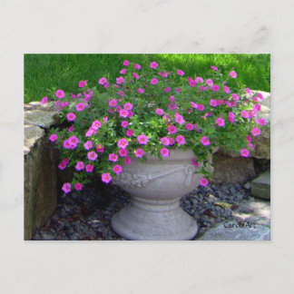 Postal Cartas de Plantador de Flores Rosa