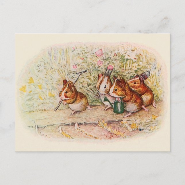 Postal Cartas de recetas de cerdos de Guinea para jardine (Anverso)