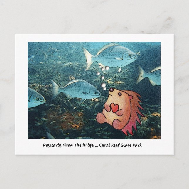 POSTAL ¡CARTAS POSTCARDS DEL BORDE! (Anverso)