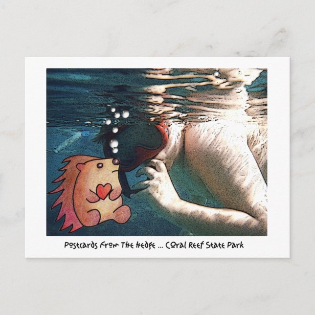 POSTAL ¡CARTAS POSTCARDS DEL BORDE! (Anverso)