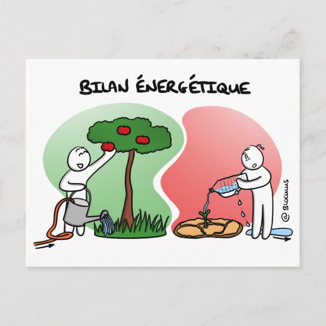 Postal Carte de Coaching "Faites votre Bilan Énergétique" (Anverso)
