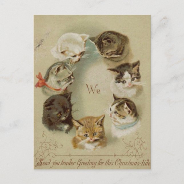 Postal Carte de voeux Noël chats (Anverso)