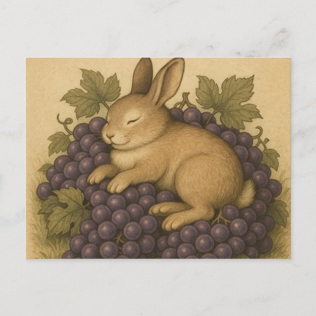 Postal Carte postale (Anverso)