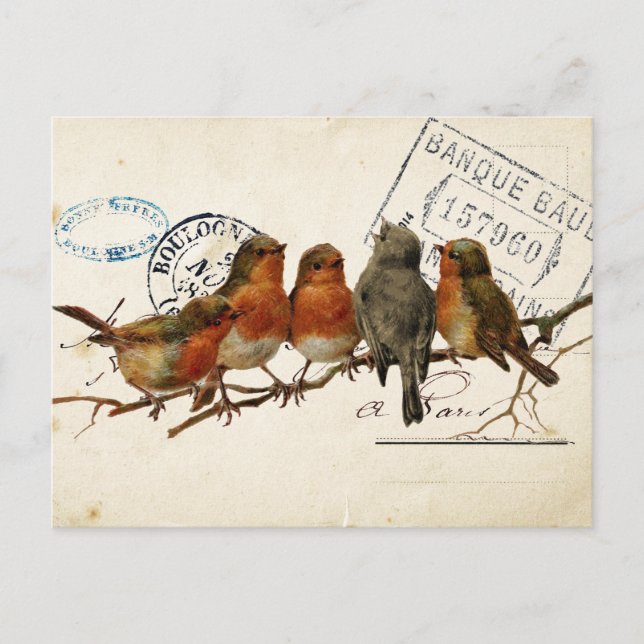 Postal Carte Postale Bird Set 3 de 4 (Robins europeos) (Anverso)