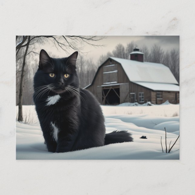 Postal Carte Postale Black Cat  Série 2 02 (Anverso)