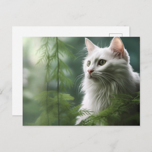 Postal Carte postale Chat Foret 7 (Anverso / Reverso)