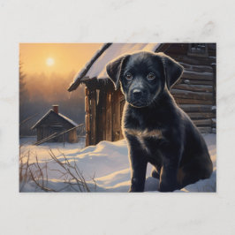 Postal Carte postale Chien 5-0