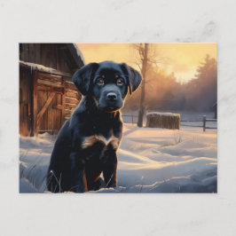 Postal Carte postale Chien 5-3