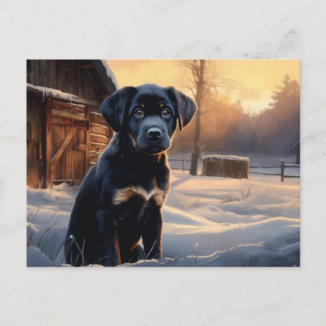Postal Carte postale Chien 5-3 (Anverso)