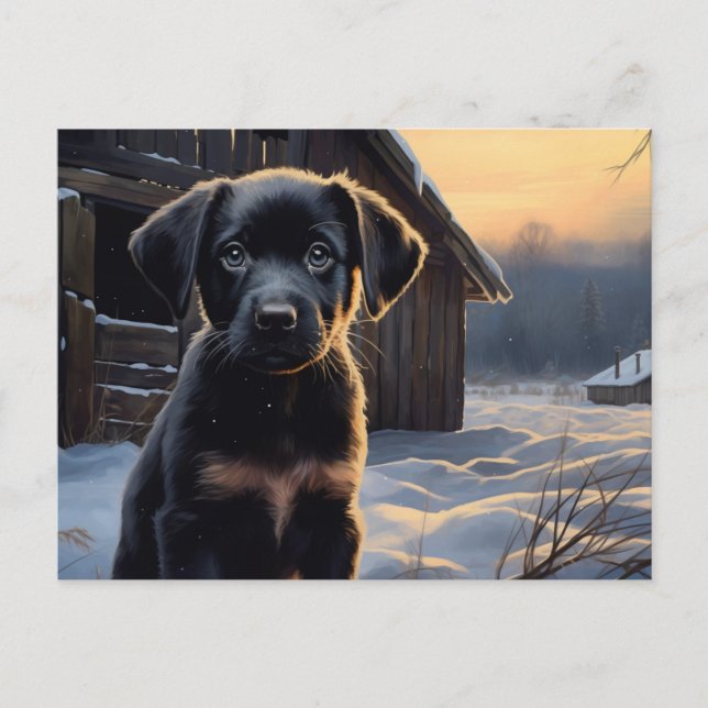 Postal Carte postale Chien 5-5 (Anverso)
