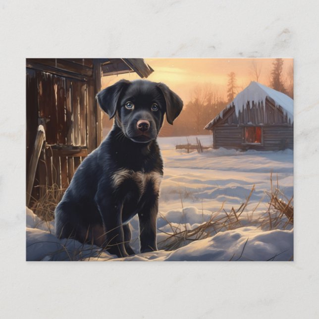 Postal Carte postale Chien 5-6 (Anverso)