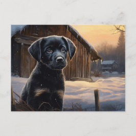 Postal Carte postale Chien 5-8