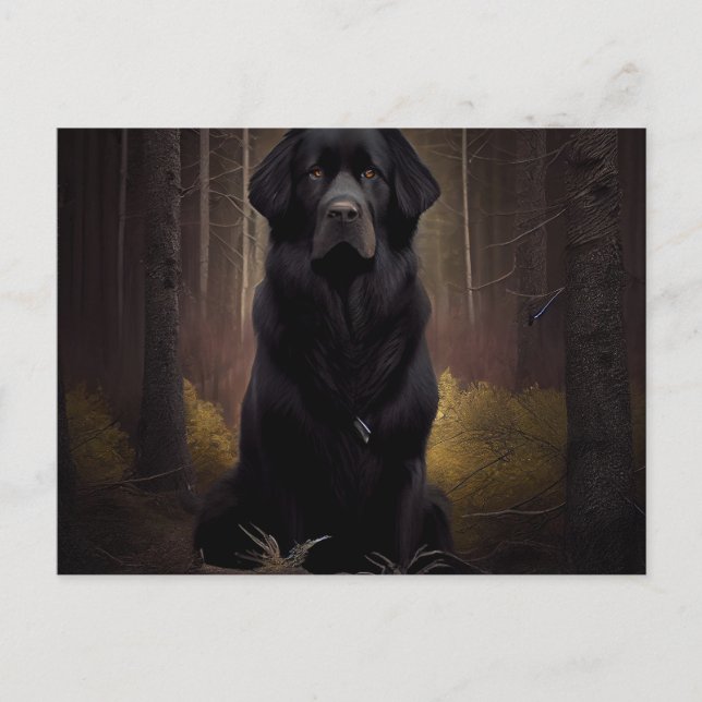 Postal Carte Postale Chien Divers (Anverso)