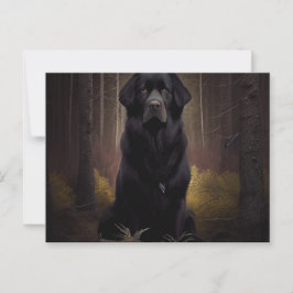 Postal Carte Postale Chien Divers