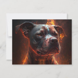 Postal Carte Postale Chien Divers