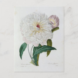 Postal Carte Postale Fleurs 10