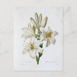Postal Carte Postale Fleurs 14