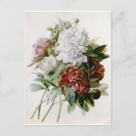 Postal Carte Postale Fleurs 15