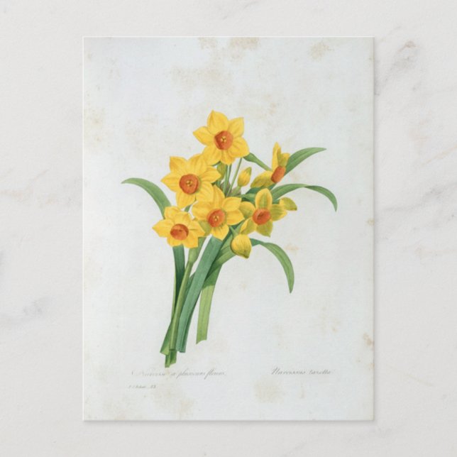 Postal Carte Postale Fleurs 5 (Anverso)