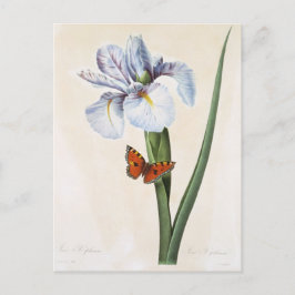 Postal Carte Postale Fleurs 8